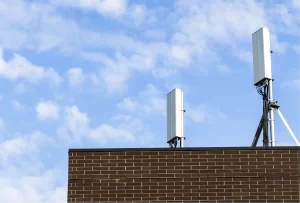 microwave antenna