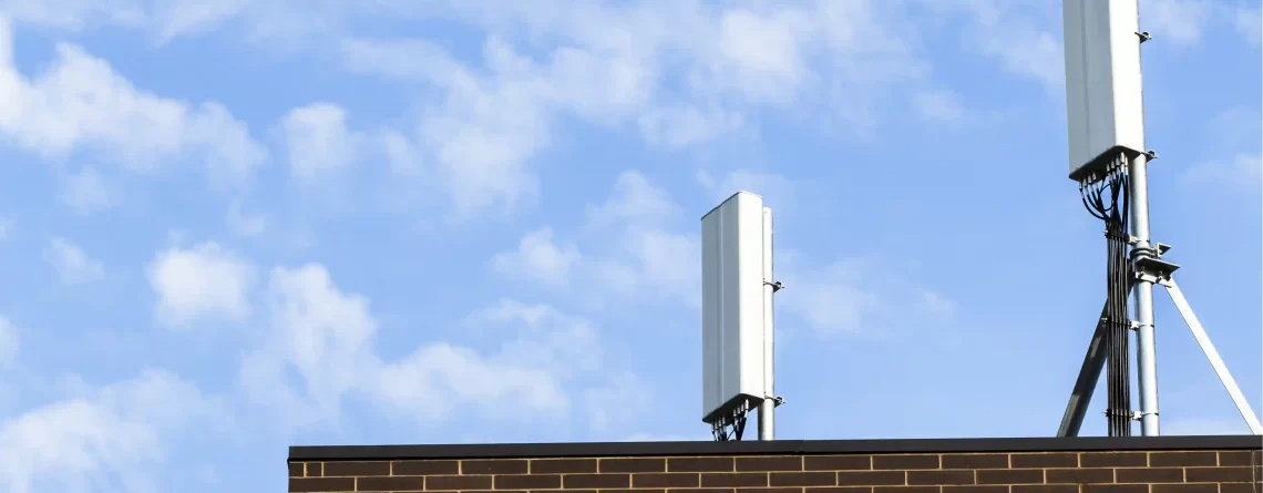 microwave antenna