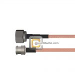 BNC Male to N Male RG-316 Coax and RoHS F065-221S0-291S0-30-N